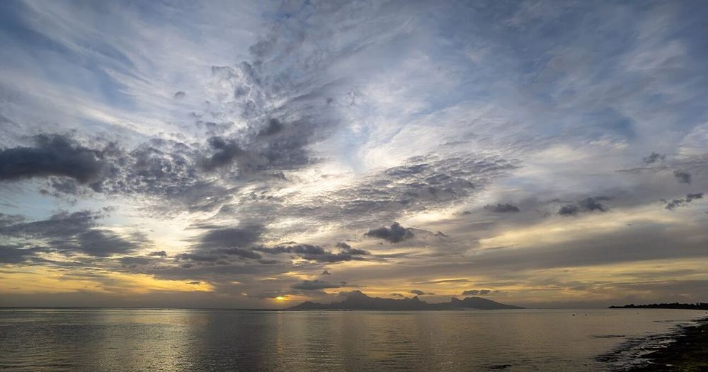 Sapinus, French Polynesia