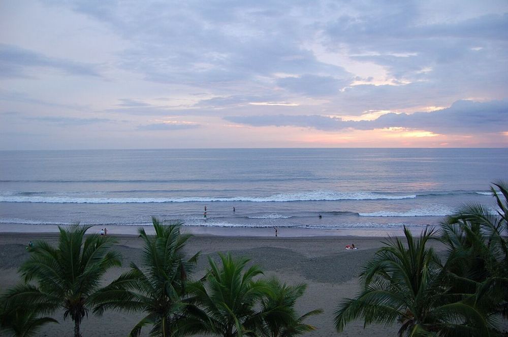 Perro Fino, Costa Rica