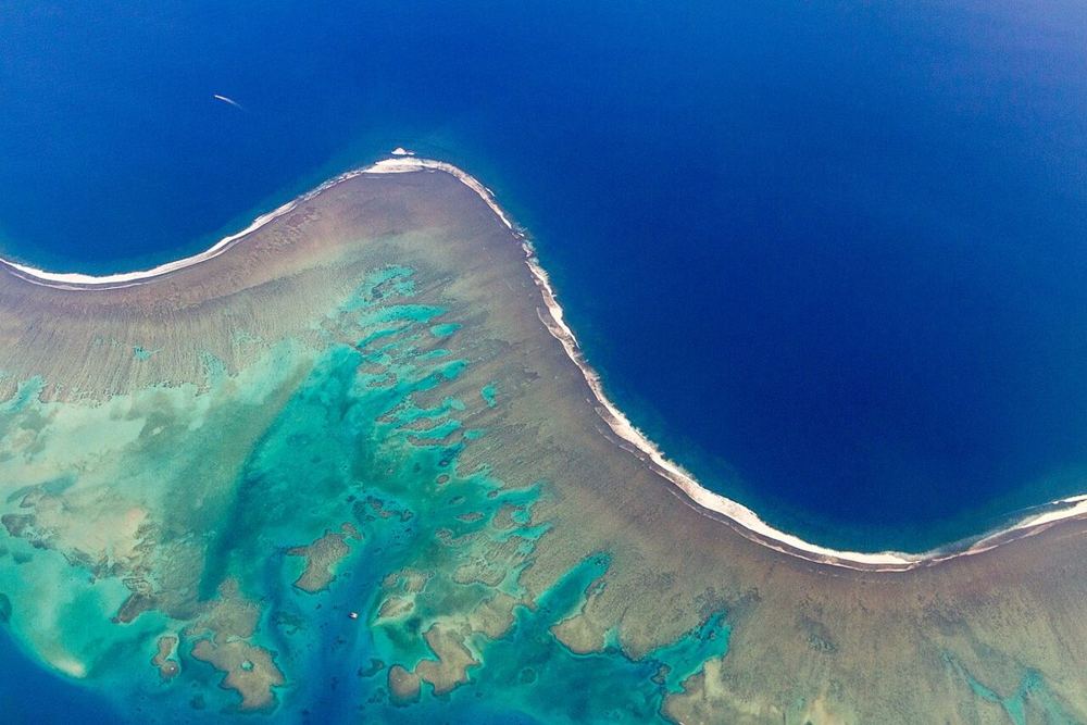 Desperations, Fiji