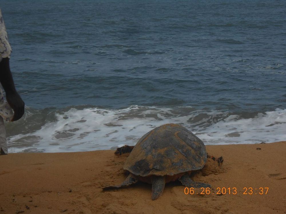 Robertsport, Liberia