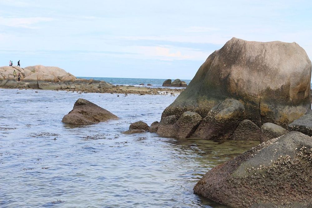 Puncher, Indonesia