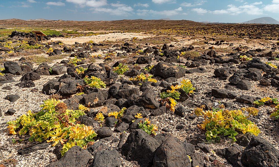 La Santa (Arrecife), España