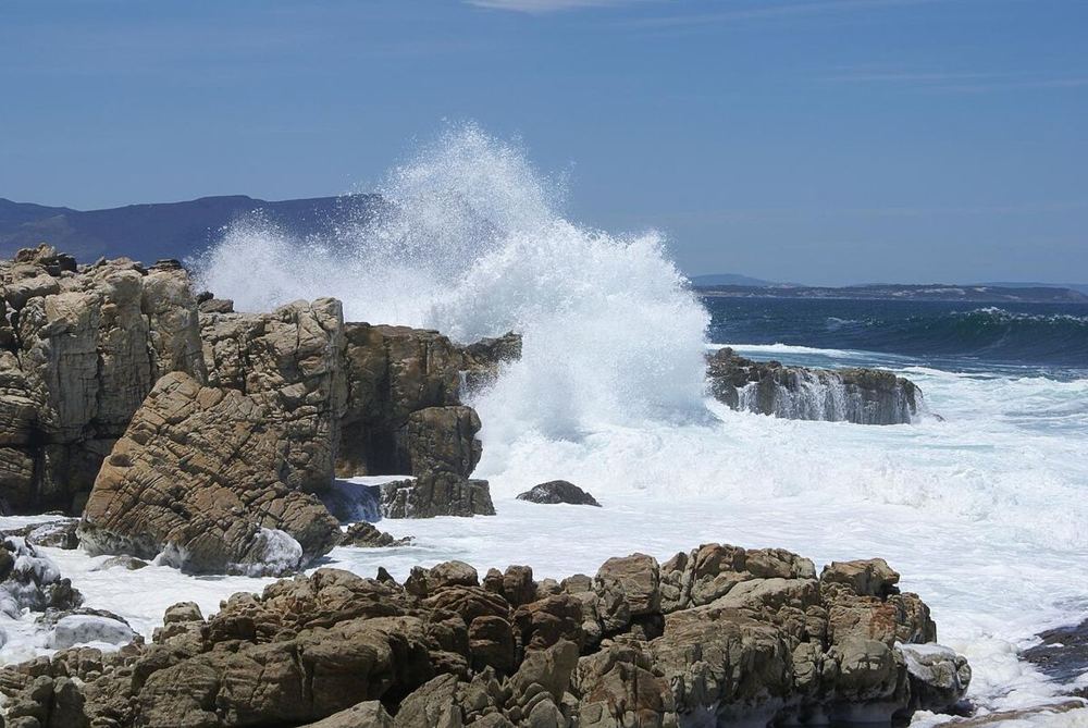Kokkerot, South Africa