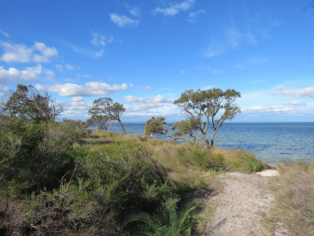 Sucky Lefts, Australia