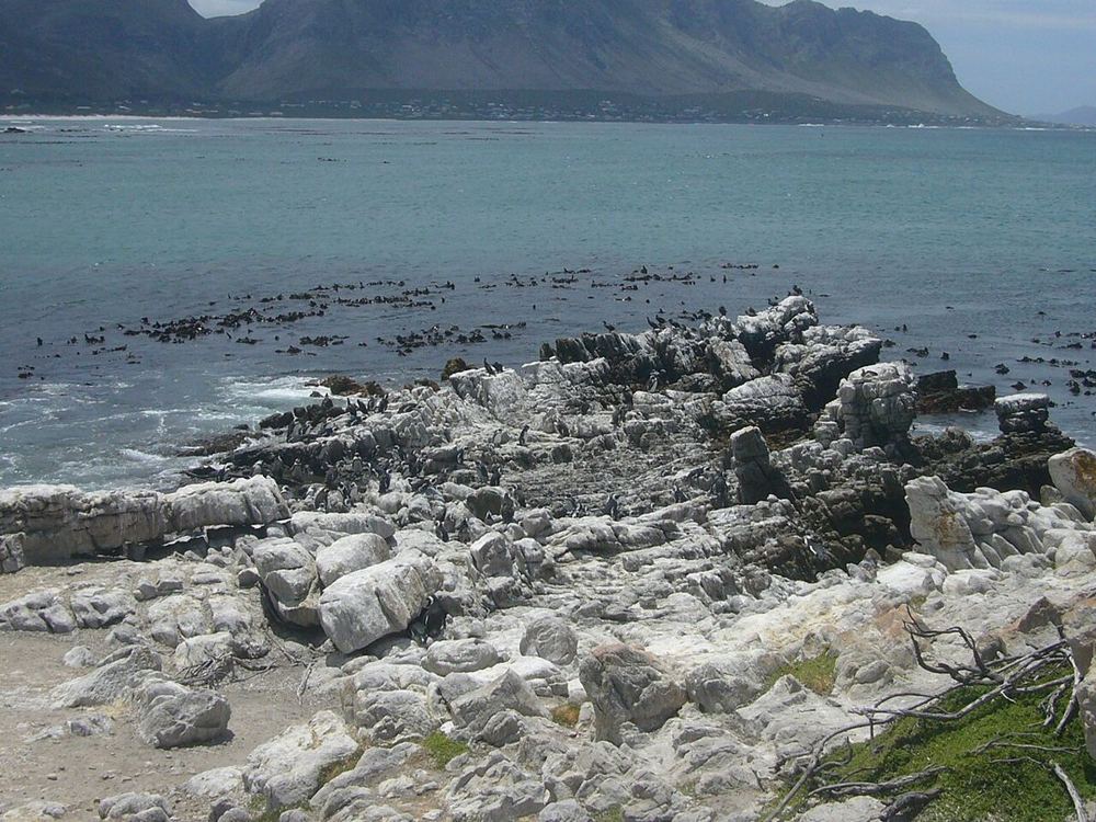Betty's Bay, South Africa
