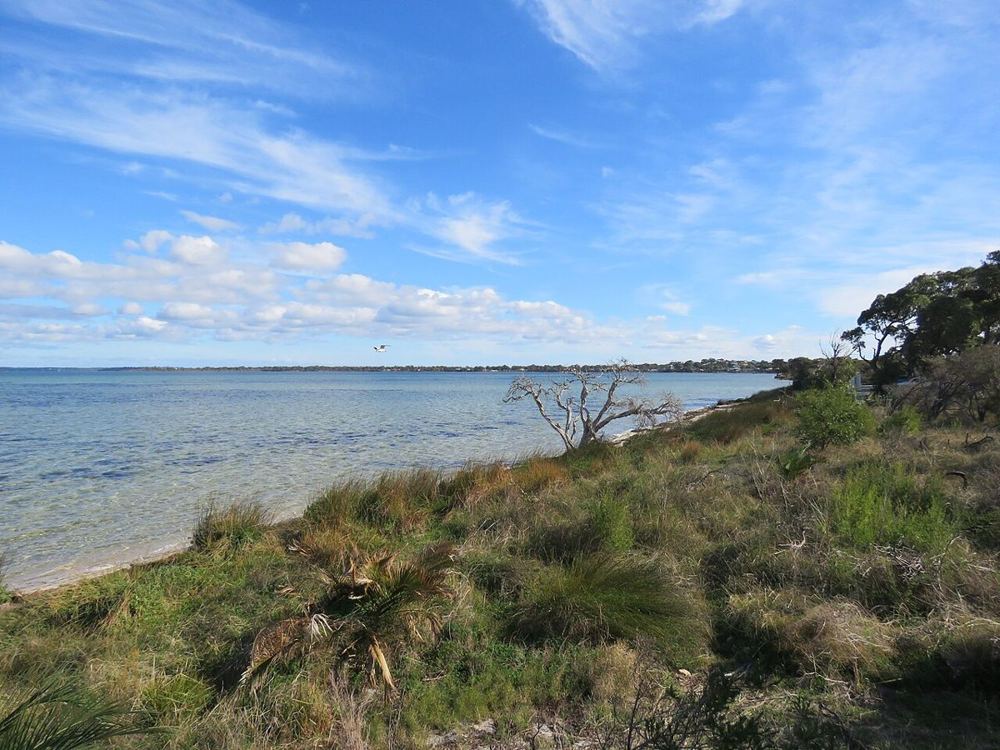 Cozzies, Australia