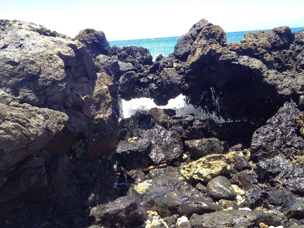 La Perouse Bay, United States of America