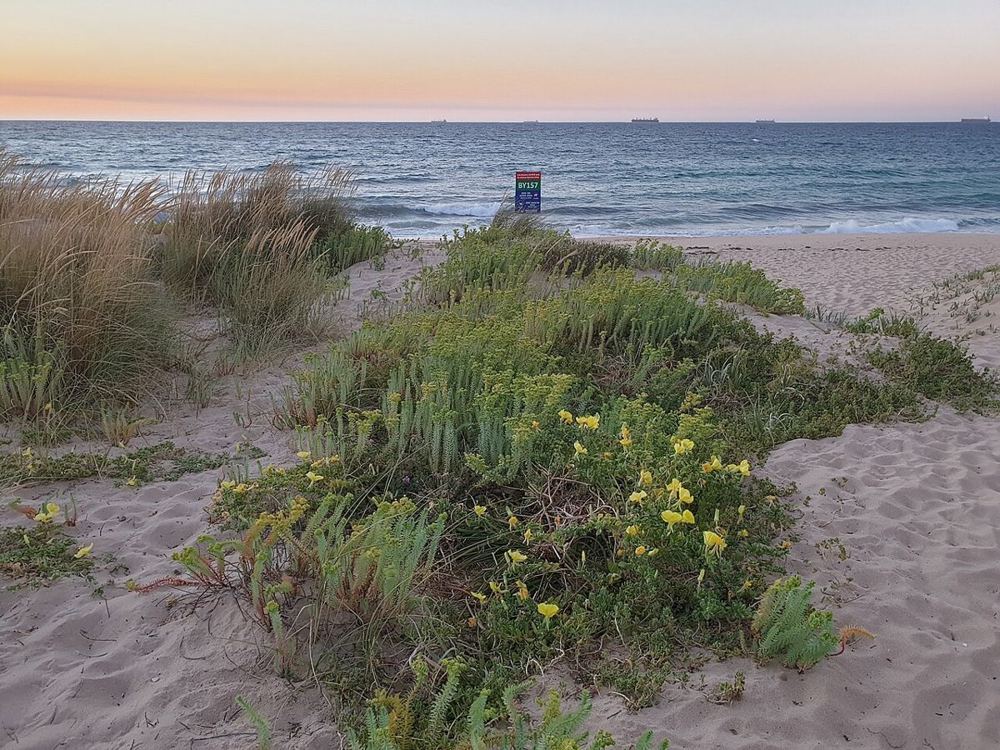 Bunbury - BP Reef, Australia
