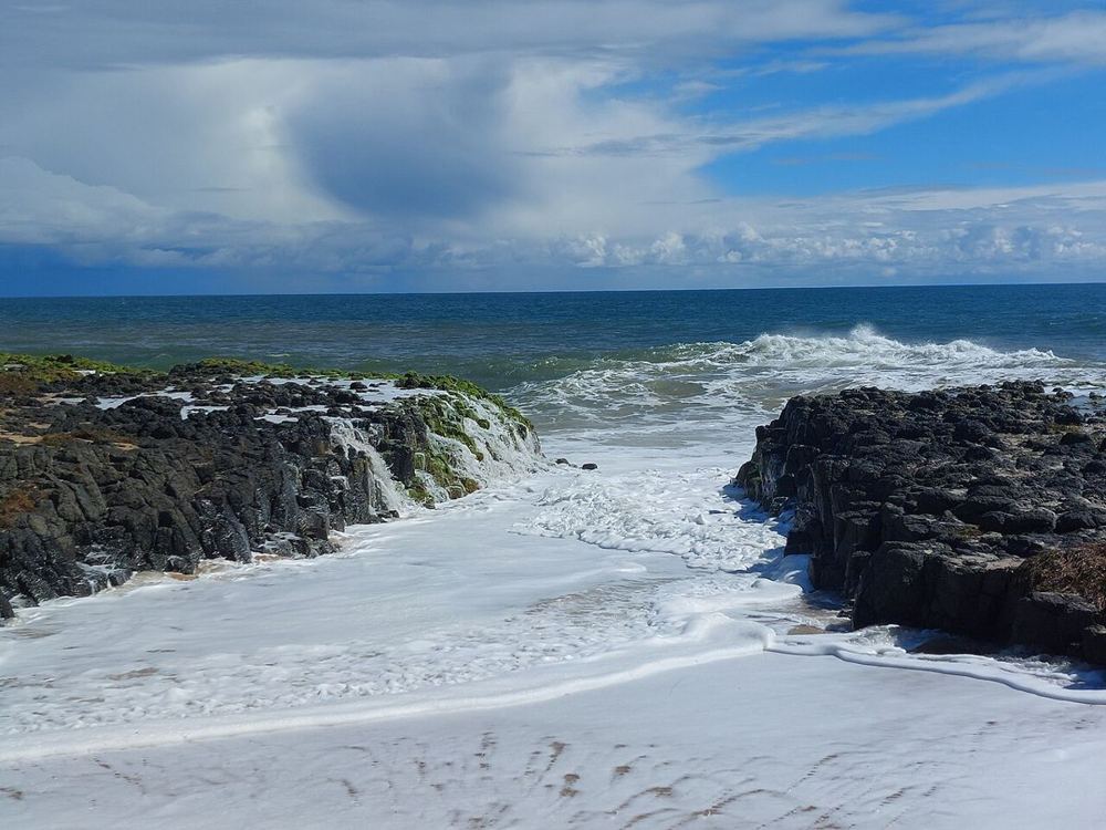Bunbury - Clam, Australia