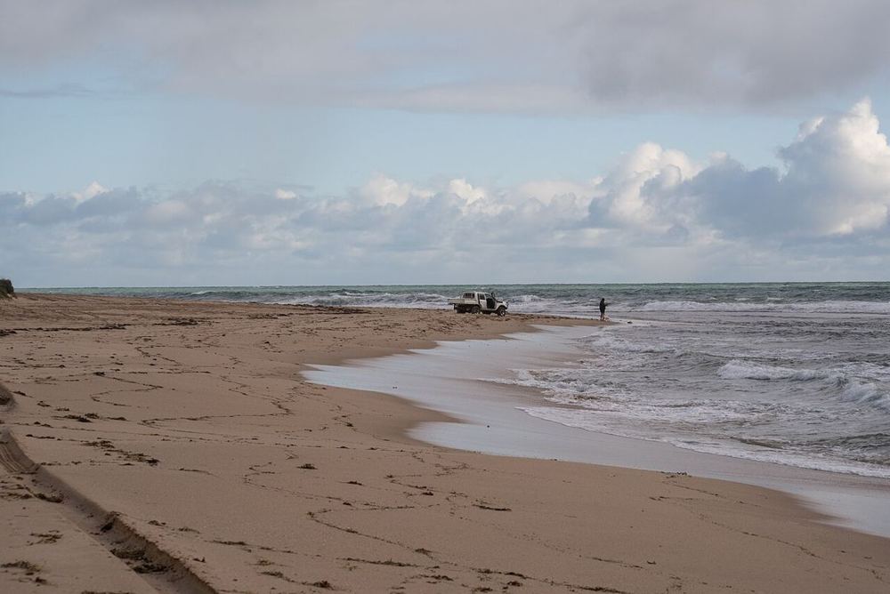 Tims thicket, Australia