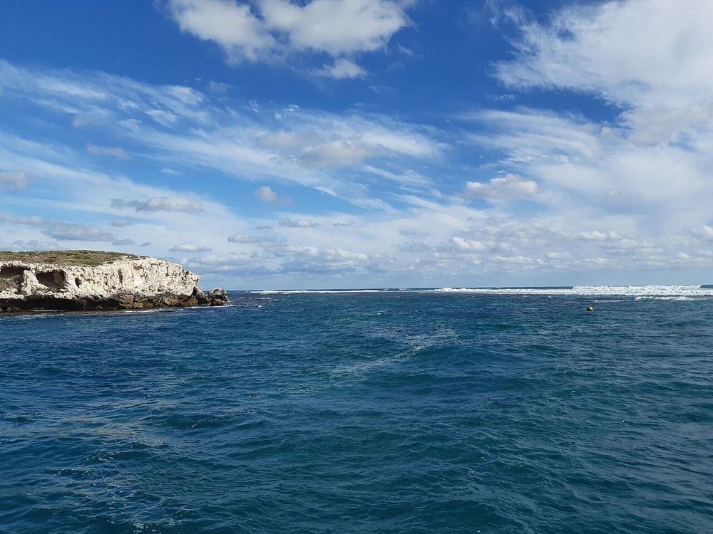 Lancelin Island, Australia