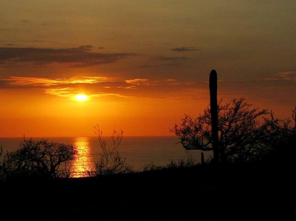 Playa Los Cerritos, Mexico