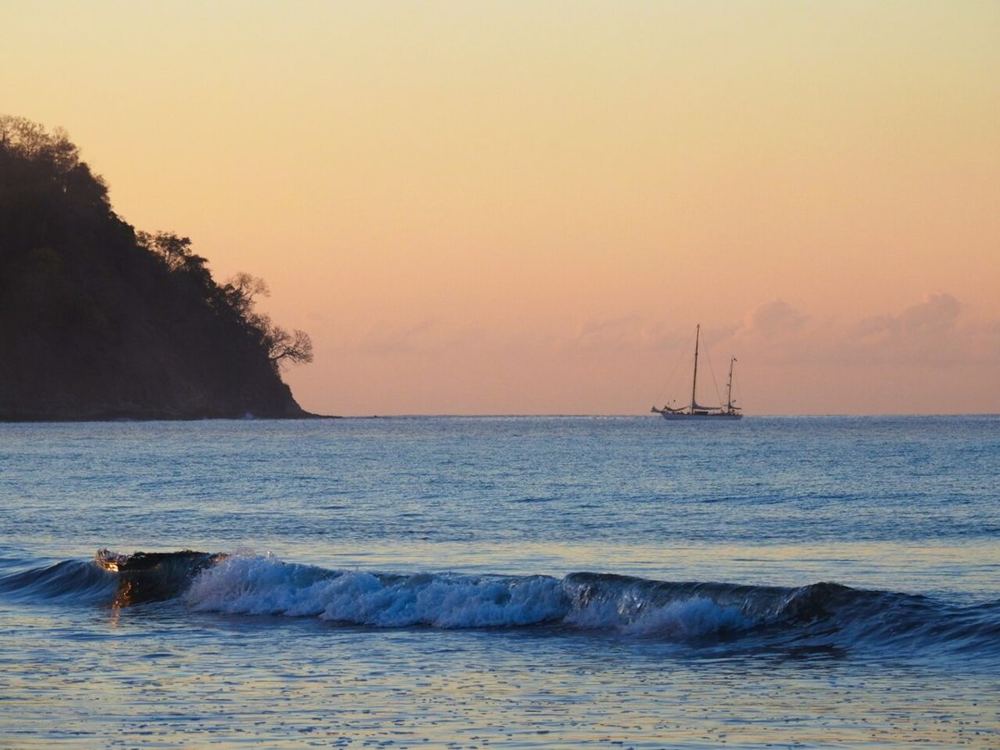 Barrigona, Costa Rica