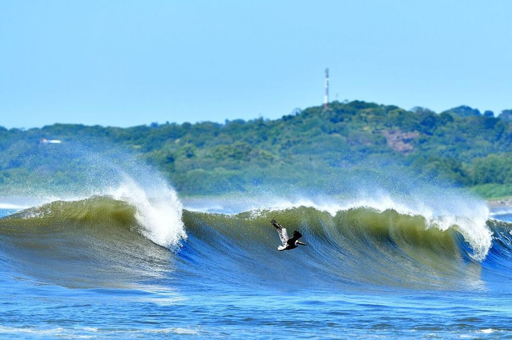 Nosara Beach, Costa Rica
