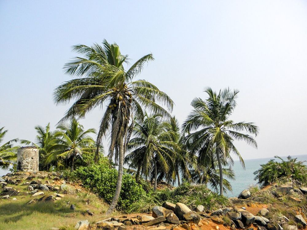 Cape Three Points, Ghana