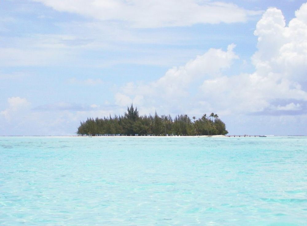 Miri miri, French Polynesia