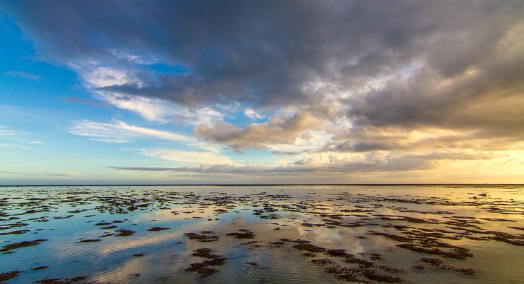 Hideaway, Fiji